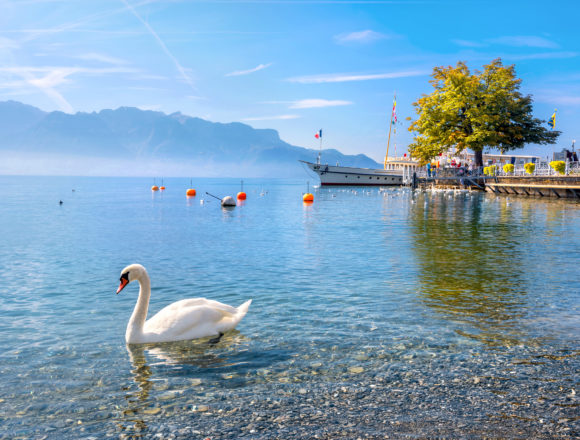 Lake Geneva in Vevey. Vaud canton, Switzerland Qualité de vie & Service public